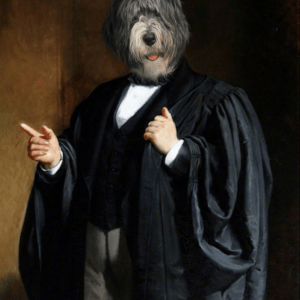 Portrait de bobtail en avocat 90 x 70 cm