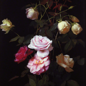 Lumière de roses 100x70 cm